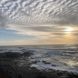 Meet your Posher, Ella